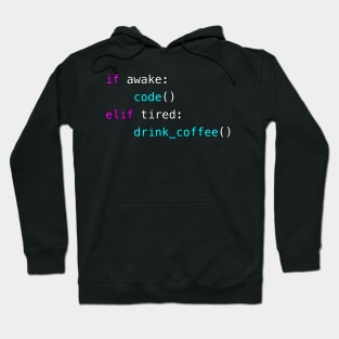 Coding Algorithm for Python Developer Hoodie